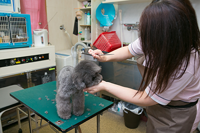 塚口ペットサロン