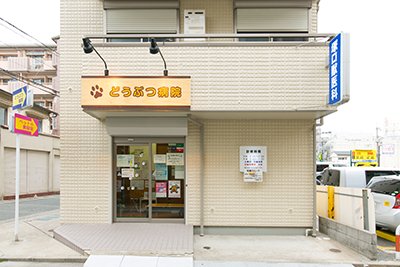 どうぶつ病院